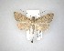  ( - NZAC04231522)  @11 [ ] No Rights Reserved (2020) Unspecified Landcare Research, New Zealand Arthropod Collection