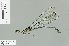  (Amphipteryx agrioides - RMNH.INS.504315)  @12 [ ] CreativeCommons - Attribution Non-Commercial Share-Alike (2013) Unspecified Naturalis Biodiversity Center