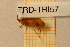  ( - TRD-TRI57)  @12 [ ] CreativeCommons - Attribution Non-Commercial Share-Alike (2014) Unspecified NTNU University Museum, Department of Natural History