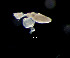 (Fritillaria - IOS2021014-014)  @11 [ ] CC - Attribution Non-Commercial Share-Alike (2023) Julian Smith DFO