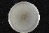  (Ophiostoma sp. HS-ce - 2015-170-1-3)  @11 [ ] CreativeCommons - Attribution Non-Commercial Share-Alike (2015) Norwegian institute of bioeconomy research Norwegian institute for bioeconomy