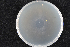  (Ophiostoma sp. HS-tr3 - 2015-630-3-2)  @11 [ ] CreativeCommons - Attribution Non-Commercial Share-Alike (2015) Norwegian institute of bioeconomy research Norwegian institute of bioeconomy research