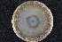  (Ophiostoma bicolor - 2015-719-3-1)  @11 [ ] CreativeCommons - Attribution Non-Commercial Share-Alike (2015) Norwegian institute of bioeconomy research Norwegian institute of bioeconomy research
