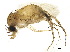  ( - BIOUG33906-G03)  @11 [ ] CreativeCommons - Attribution (2019) CBG Photography Group Centre for Biodiversity Genomics