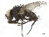  ( - BIOUG26545-E08)  @11 [ ] CreativeCommons - Attribution (2019) CBG Photography Group Centre for Biodiversity Genomics