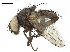  ( - BIOUG26545-E09)  @11 [ ] CreativeCommons - Attribution (2019) CBG Photography Group Centre for Biodiversity Genomics