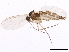  ( - BIOUG01436-A02)  @13 [ ] CreativeCommons - Attribution (2012) CBG Photography Group Centre for Biodiversity Genomics