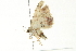  ( - BIOUG01152-B12)  @13 [ ] CreativeCommons - Attribution (2011) CBG Photography Group Centre for Biodiversity Genomics
