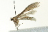  ( - BIOUG02120-A03)  @13 [ ] CreativeCommons - Attribution (2012) CBG Photography Group Centre for Biodiversity Genomics