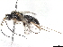  (Heterospilus Malaise1519 - BIOUG56815-E10)  @11 [ ] CreativeCommons - Attribution Non-Commercial Share-Alike (2020) CBG Photography Group Centre for Biodiversity Genomics