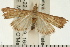  ( - USNM ENT 00193643)  @13 [ ] CreativeCommons - Attribution (2008) Unspecified Centre for Biodiversity Genomics