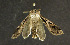  ( - moth1109.01)  @13 [ ] CreativeCommons - Attribution (2010) Unspecified Centre for Biodiversity Genomics