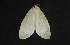  ( - moth525.01)  @12 [ ] CreativeCommons - Attribution (2010) Unspecified Centre for Biodiversity Genomics