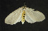  ( - moth542.01)  @12 [ ] CreativeCommons - Attribution (2010) Unspecified Centre for Biodiversity Genomics