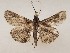  ( - CSUC105)  @11 [ ] CreativeCommons  Attribution Share-Alike (2021) Candice Sawyer California State University, Chico State Entomology Collection