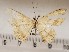  ( - CSUC124)  @11 [ ] CreativeCommons  Attribution Share-Alike (2021) Candice Sawyer California State University, Chico State Entomology Collection