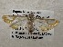  ( - CSUC169)  @11 [ ] CreativeCommons  Attribution Share-Alike (2021) Candice Sawyer California State University, Chico State Entomology Collection