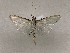  ( - CSUC180)  @11 [ ] CreativeCommons  Attribution Share-Alike (2021) Candice Sawyer California State University, Chico State Entomology Collection