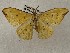  ( - CSUC185)  @11 [ ] CreativeCommons  Attribution Share-Alike (2021) Candice Sawyer California State University, Chico State Entomology Collection