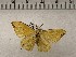  ( - CSUC185)  @11 [ ] CreativeCommons  Attribution Share-Alike (2021) Candice Sawyer California State University, Chico State Entomology Collection