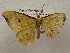  ( - CSUC186)  @11 [ ] CreativeCommons  Attribution Share-Alike (2021) Candice Sawyer California State University, Chico State Entomology Collection