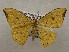  ( - CSUC187)  @11 [ ] CreativeCommons  Attribution Share-Alike (2021) Candice Sawyer California State University, Chico State Entomology Collection