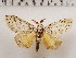  ( - CSUC231)  @11 [ ] CreativeCommons  Attribution Share-Alike (2021) Candice Sawyer California State University, Chico State Entomology Collection