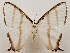 ( - CSUC67)  @11 [ ] CreativeCommons  Attribution Share-Alike (2021) Candice Sawyer California State University, Chico State Entomology Collection