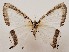  ( - CSUC73)  @11 [ ] CreativeCommons  Attribution Share-Alike (2021) Candice Sawyer California State University, Chico State Entomology Collection