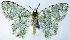  ( - CCDB-21790-G12)  @11 [ ] CreativeCommons - Attribution (2014) David Pollock Centre for Biodiversity Genomics