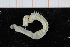  ( - ZMBN_95306)  @12 [ ] CreativeCommons - Attribution Non-Commercial Share-Alike (2014) University of Bergen University of Bergen, Natural History Collections
