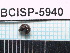  (Ceratopus sp. cur259SG - SG-2013-125)  @12 [ ] CreativeCommons - Attribution Non-Commercial Share-Alike (2014) Sofia Gripenberg Oxford University