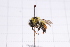  ( - 20QHBb-043)  @11 [ ] CreativeCommons  Attribution Non-Commercial Share-Alike (2030) Unspecified China Agricultural University