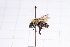  ( - 20QHBb-045)  @11 [ ] CreativeCommons  Attribution Non-Commercial Share-Alike (2030) Unspecified China Agricultural University