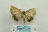 ( - ARB00024243)  @12 [ ] Copyright  SCDBC-KIZ-CAS, Imaging group Kunming Institute of Zoology, CAS