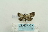  ( - ARB00024315)  @12 [ ] Copyright  SCDBC-KIZ-CAS, Imaging group Kunming Institute of Zoology, CAS