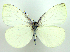  ( - DH000077)  @13 [ ] CreativeCommons - Attribution (2010) Unspecified Centre for Biodiversity Genomics