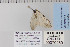  ( - CNCLEP 70280)  @12 [ ] CreativeCommons - Attribution Non-Commercial Share-Alike (2010) Canadian National Collection of Insects, Arachnids and Nematodes Canadian National Collection of Insects, Arachnids and Nematodes
