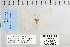  ( - CNCLEP 79985)  @12 [ ] CreativeCommons - Attribution Non-Commercial Share-Alike (2010) Canadian National Collection of Insects, Arachnids and Nematodes Canadian National Collection of Insects, Arachnids and Nematodes