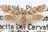  ( - DDAV-D690)  @14 [ ] CreativeCommons - Attribution (2010) Unspecified Centre for Biodiversity Genomics