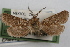  ( - DDAV-D316)  @11 [ ] CreativeCommons - Attribution (2010) Unspecified Centre for Biodiversity Genomics