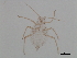  (Nasonovia houghtonensis similis - CNC#HEM057392)  @12 [ ] CreativeCommons - Attribution (2009) Unspecified Centre for Biodiversity Genomics