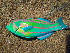  (Thalassoma purpureum - Smith 220.63 #3)  @14 [ ] CreativeCommons - Attribution Non-Commercial Share-Alike (2014) SAIAB SAIAB