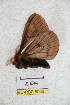  ( - BC-RBP 5066)  @12 [ ] Copyright (2011) Ron Brechlin Research Collection of Ron Brechlin