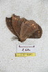  ( - BC-RBP 5067)  @12 [ ] Copyright (2011) Ron Brechlin Research Collection of Ron Brechlin