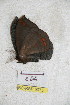  ( - BC-RBP 5075)  @12 [ ] Copyright (2011) Ron Brechlin Research Collection of Ron Brechlin