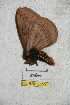  ( - BC-RBP 5090)  @12 [ ] Copyright (2011) Ron Brechlin Research Collection of Ron Brechlin