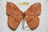  ( - BC-RBP 5125)  @14 [ ] Copyright (2011) Ron Brechlin Research Collection of Ron Brechlin