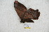  ( - BC-RBP 5132)  @13 [ ] Copyright (2011) Ron Brechlin Research Collection of Ron Brechlin