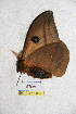  ( - BC-RBP 5166)  @11 [ ] Copyright (2011) Ron Brechlin Research Collection of Ron Brechlin